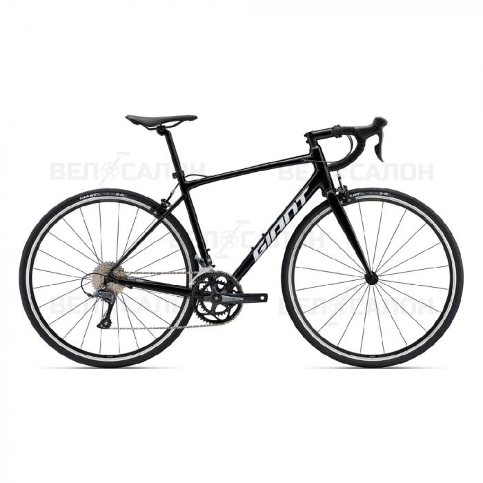 Giant Contend 3